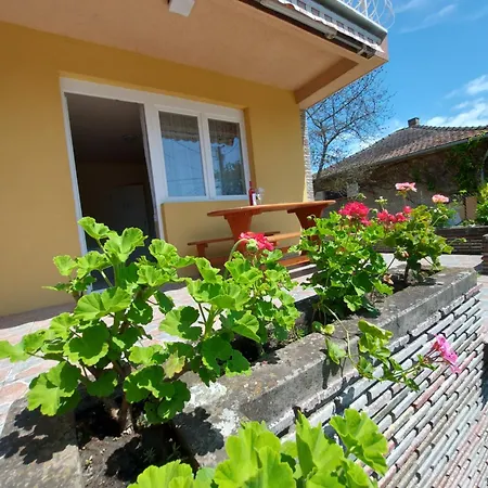Apartament Pauzo Bagyarik *